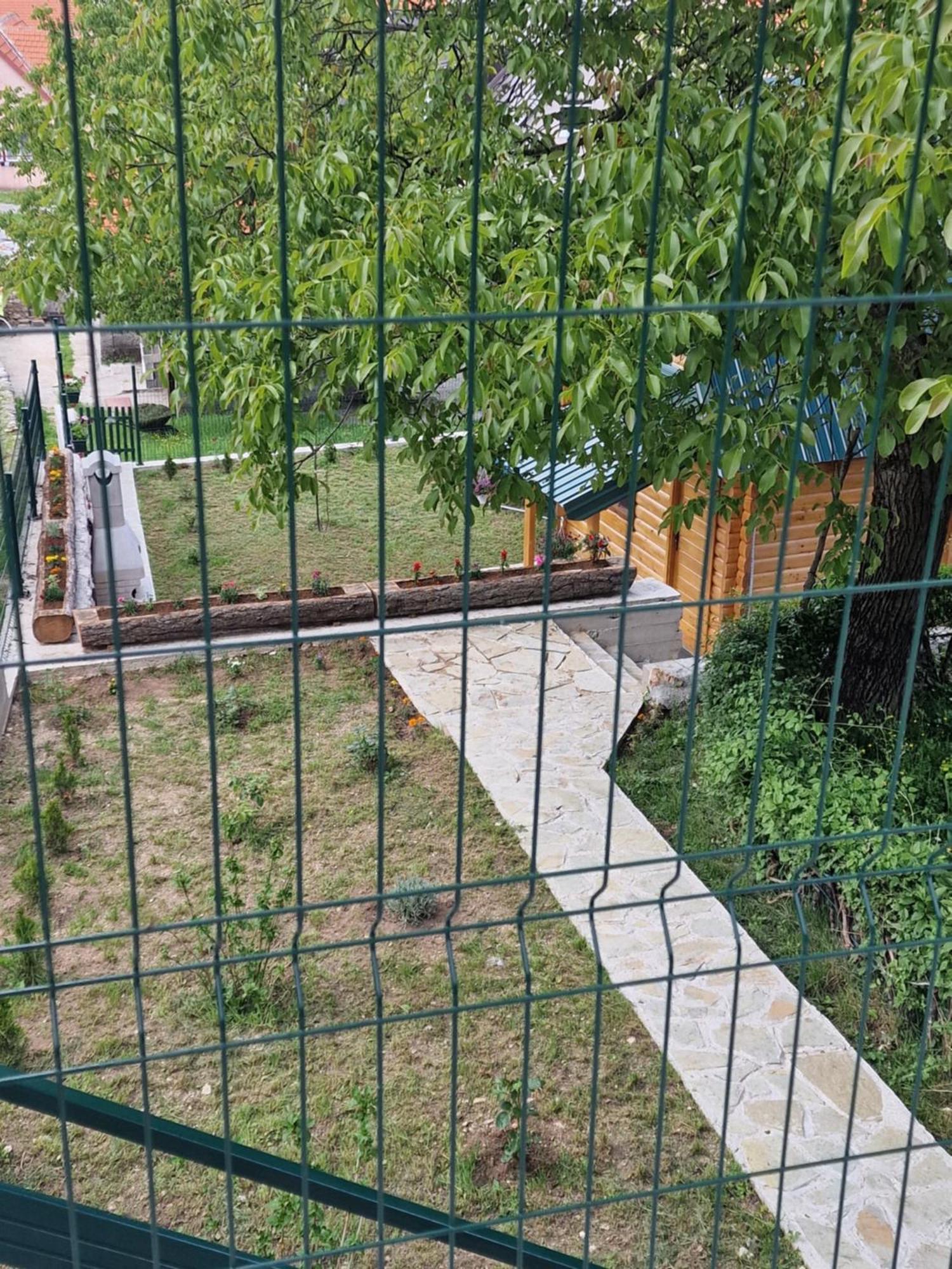 Brvnara Ricki Villa Cetinje Ngoại thất bức ảnh