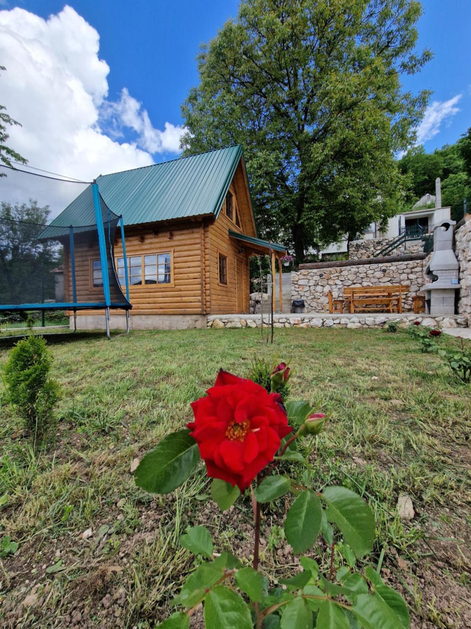 Brvnara Ricki Villa Cetinje Ngoại thất bức ảnh