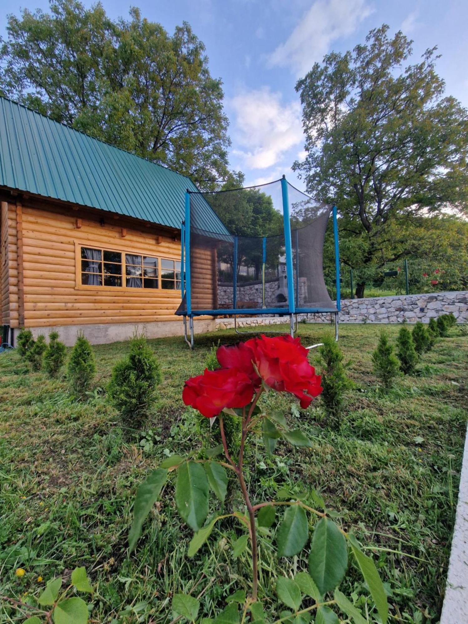 Brvnara Ricki Villa Cetinje Ngoại thất bức ảnh